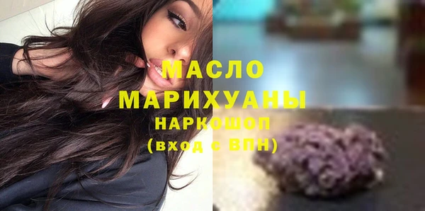 сатива Новодвинск