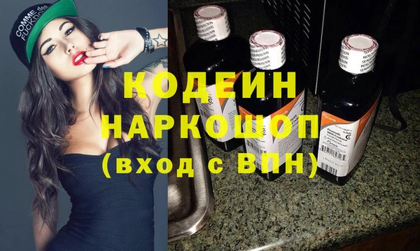 сатива Новодвинск