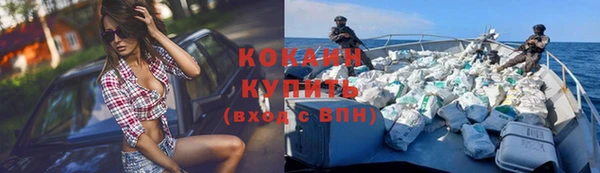 сатива Новодвинск