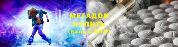 сатива Новодвинск