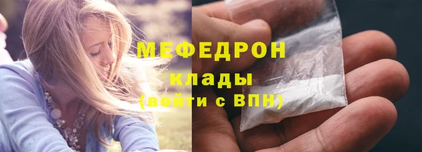 сатива Новодвинск