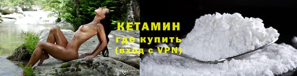 сатива Новодвинск
