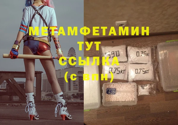 сатива Новодвинск