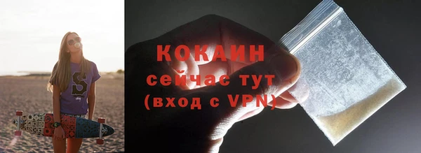 сатива Новодвинск
