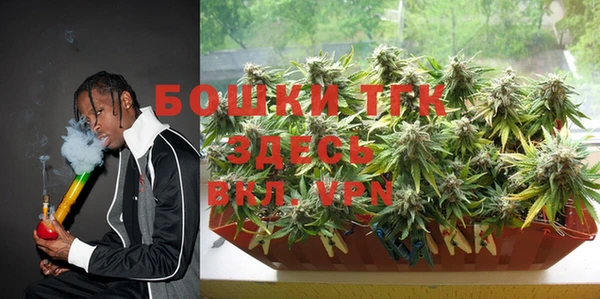 сатива Новодвинск