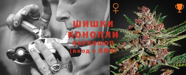 сатива Новодвинск