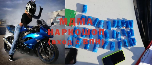 сатива Новодвинск