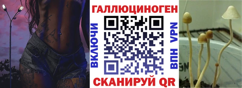Галлюциногенные грибы Psilocybine cubensis  Советский 